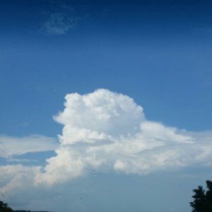 Meet your Posher, Tammeesplace aka Tammy